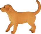 Фігурка Mojo Animal Planet Golden Retriever Puppy Small 6 см (5031923872059) - зображення 4