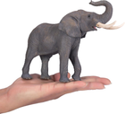 Фігурка Mojo Wildlife African Bull Elephant 17.6 см (5031923810051) - зображення 5