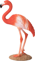Фігурка Mojo Wildlife American Flamingo 10.9 см (5031923871342) - зображення 3