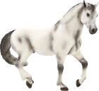Figurka Mojo Farm Life Andalusian Stallion Grey 11 cm (5031923871496) - obraz 1