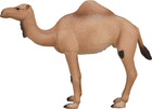 Фігурка Mojo Wildlife Arabian Camel 12 см (5031923871137) - зображення 5