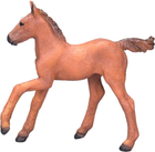Figurka Mojo Farm Life Arabian Foal Chestnut 8 cm (5031923810198) - obraz 1