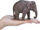 Фігурка Mojo Wildlife Asian Elephant 9 см (5031923872660) - зображення 6
