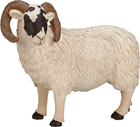 Фігурка Mojo Farm Life Black Faced Sheep Ram 8 см (5031923870819) - зображення 3