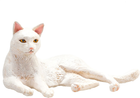 Figurka Mojo Farm Life Cat Lying White 3.5 cm (5031923873681) - obraz 3