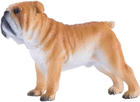 Figurka Mojo English Bulldog Medium 6 cm (5031923810532) - obraz 2