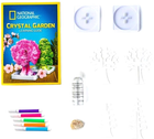 Набір для наукових експериментів National Geographic Crystal Garden (0810070621025) - зображення 2