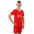 Форма футбольная детская Liverpool Ливерпуль SP-Planeta 6327 размер XS (20) рост 110-115см Red-White