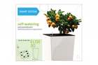 Система автополива Plastkon SMART SYSTEM для "ELISE" 30 см (A-010771)