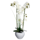 Sztuczna orchidea Atmosphera w ceramicznej doniczce (3560239260868) - obraz 1