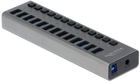 USB Hub Delock External Hub with 13 Ports + Switch Grey (4043619637386)