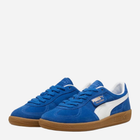 Чоловічі кеди низькі Puma Palermo 396463-07 41 (7.5UK) Сині (4099685706938) - зображення 3