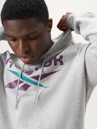 Худі утеплене чоловіче Reebok Identity Big Logo Fleece Hoodie 100206026 L Сіре (1200143879696) - зображення 3