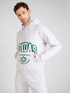 Bluza męska z kapturem adidas Originals IS2928 M Szara (4066759487970) - obraz 1