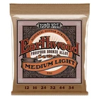 Струны Ernie Ball 2146 Earthwood Phosphor Bronze 12-54 Medium Light