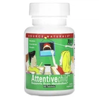 Натуральная добавка Source Naturals Attentive Child