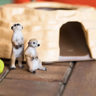 Ігровий набір Schleich Wild Life Зустріч сурикатів 42595 (4059433573434) - зображення 9