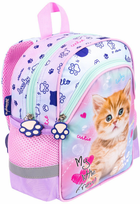 Plecak przedszkolny St.Majewski D-1 My Little Friend Pastel Kitty (5903235668838)