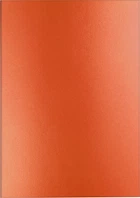 Записная книжка Caran d'Ache Colormat-X А5 120 страниц в линейку Оранжевый (7630002354073)