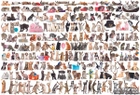 EuroGraphics Мир кошек 2000 элементов (8220-0580) - изображение 2