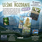 Gra planszowa Rebel Leśne rozdanie: Alpy (5902650619463) - obraz 10