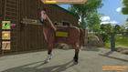 Gra PS4 My Little Riding Champion (Blu-płyta) (3499550370126) - obraz 3