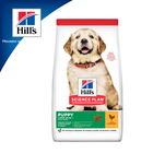 Сухий корм для цуценят великих порід Hill's Science Plan Puppy Large Breed з куркою