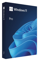 Примірник ПЗ Microsoft Windows 11 Pro рос, FPP на USB носії (HAV-00199)