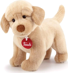 Maskotka Trudi Classic Labrador Liam 19 cm (8006529228729)