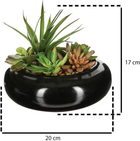 Sztuczne kwiaty Atmosphera kompozycja sukulentów w doniczce zielone (3560237521817) - obraz 3