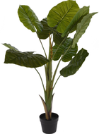 Штучна рослина Pure Garden & Living Botanical Decoration alocasia wentii в горщику зелений (8720573217927) - зображення 1