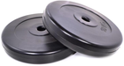 Диски для штанг і гантелей Neo Sport по 10 кг 2 шт. (NEO_D2X10K)