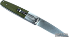 Нож складной Firebird F7211-GR by Ganzo G7211-GR - изображение 2