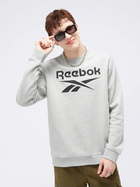 Світшот чоловічий Reebok Identity Big 100050273 L Сірий (4066751179941)