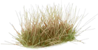 Trawa do dekoru Gamers Grass Grass tufts Autumn Wild 5 mm (738956787996)