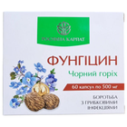 Комплекс Фунгіцин Рослина Карпат, протигрибковий засіб з протизапальною дією, 60 таблеток по 500 мг