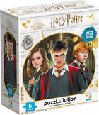 Пазл DoDo Medium-S Harry Potter Гаррі та друзі 250 елементів (4823115908612)