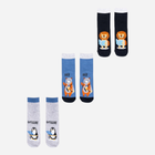 Набір шкарпеток дитячий YOCLUB 3Pack Socks SKA-0038C-AA00 23-26 3 пари Multicolour (5904921605977)