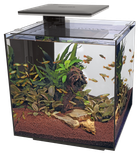 Акваріумний набір SuperFish QubiQ 60 LED Black (A4050905)