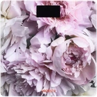 Весы напольные ARDESTO Peonies (SCB-965PEONIES)