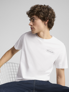 Футболка бавовняна довга чоловіча Puma Graphics 3 Circles Tee 68483402 L Біла (4067983350177)