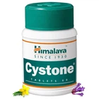 Натуральная добавка Himalaya Cystone