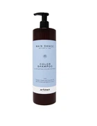 Шампунь для окрашенных волос Artego Rain Dance Color Shampoo 1000 мл