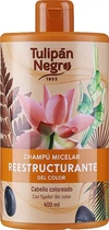 Шампунь міцелярний, реструктурувальний, для волосся - Tulipan Negro Sampoo Micelar 400ml (1103804-31023240)