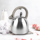 Чайник нержавеющий Maestro 2.5л (MR-1312)