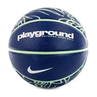 Мяч баскетбольный Nike Everyday Playground N.100.4371.473.07 размер 7