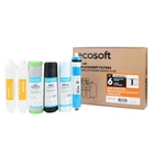 Комплект картриджів Ecosoft Absolute "12 місяців" (CHV6ECOABS)