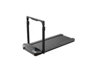 Бігова доріжка Kingsmith Treadmill Z3 Hybrid Black (WP400P42)