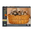 Пазл классический "Funny kittens" Danko Toys С500-14-09, 500 элементов