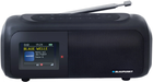Радіоприймач Blaupunkt BTR 100 (510009000)